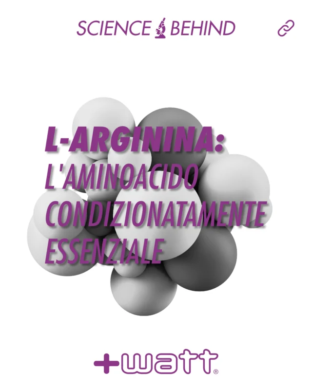 Non è solo un #amminoacido qualunque.

🧬 L-arginina è il precursore sia della #creatina, essenziale per la rigenerazione dell’ATP, sia dell’ossido nitrico, il vasodilatatore naturale.

➡️ In più, supporta il sistema immunitario e diventa fondamentale quando il corpo è sotto stress.

🌐 Visita il nostro sito nella sezione Science Behind, e scopri tutto quello che c’è da sapere sull’#arginina.